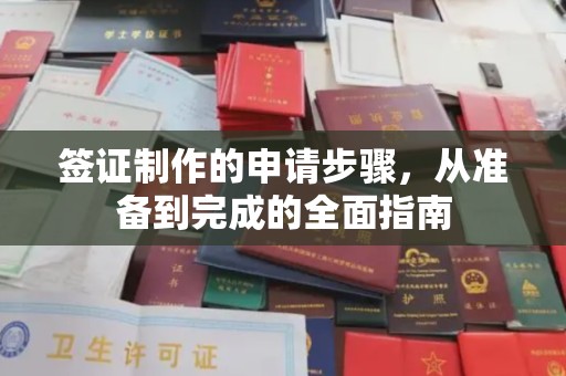 大东签证制作的申请步骤，从准备到完成的全面指南